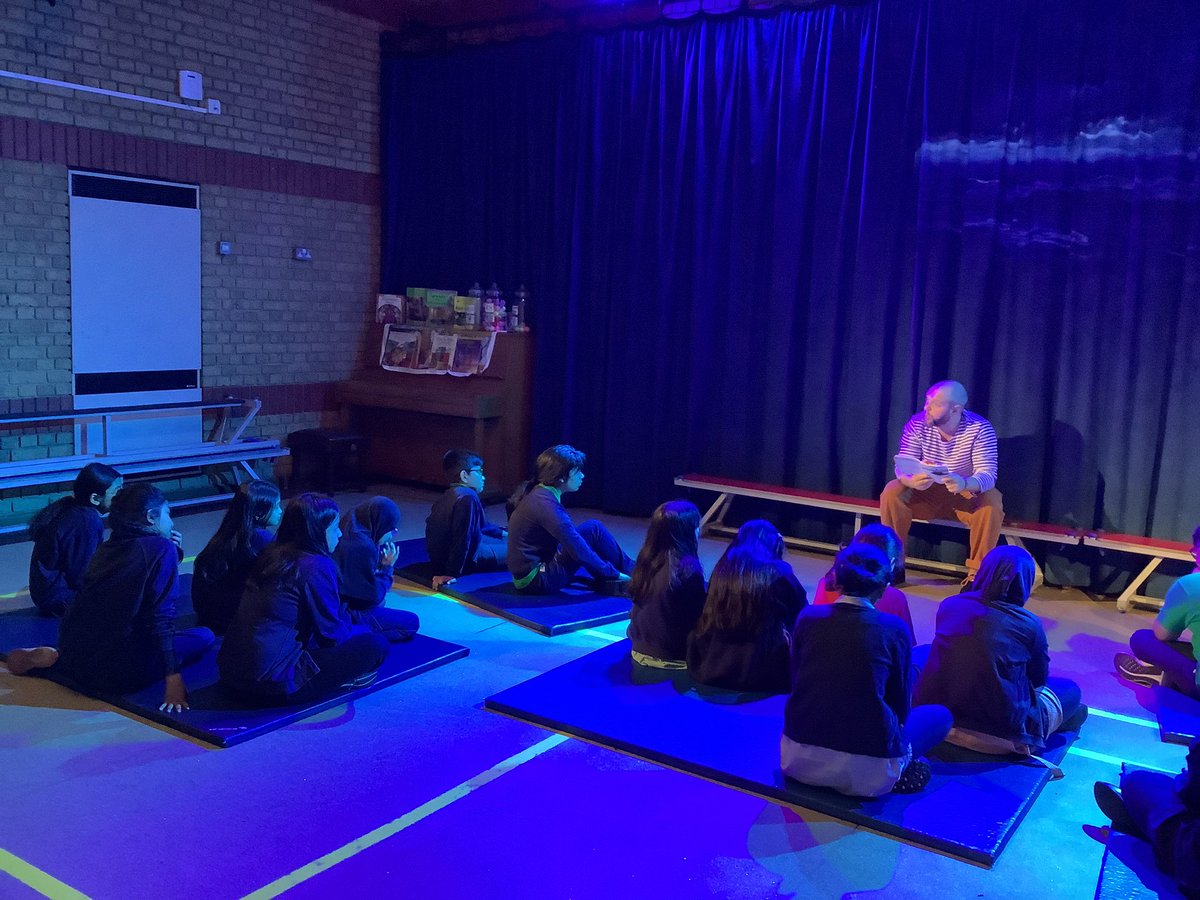 Halley Year5 tweet media