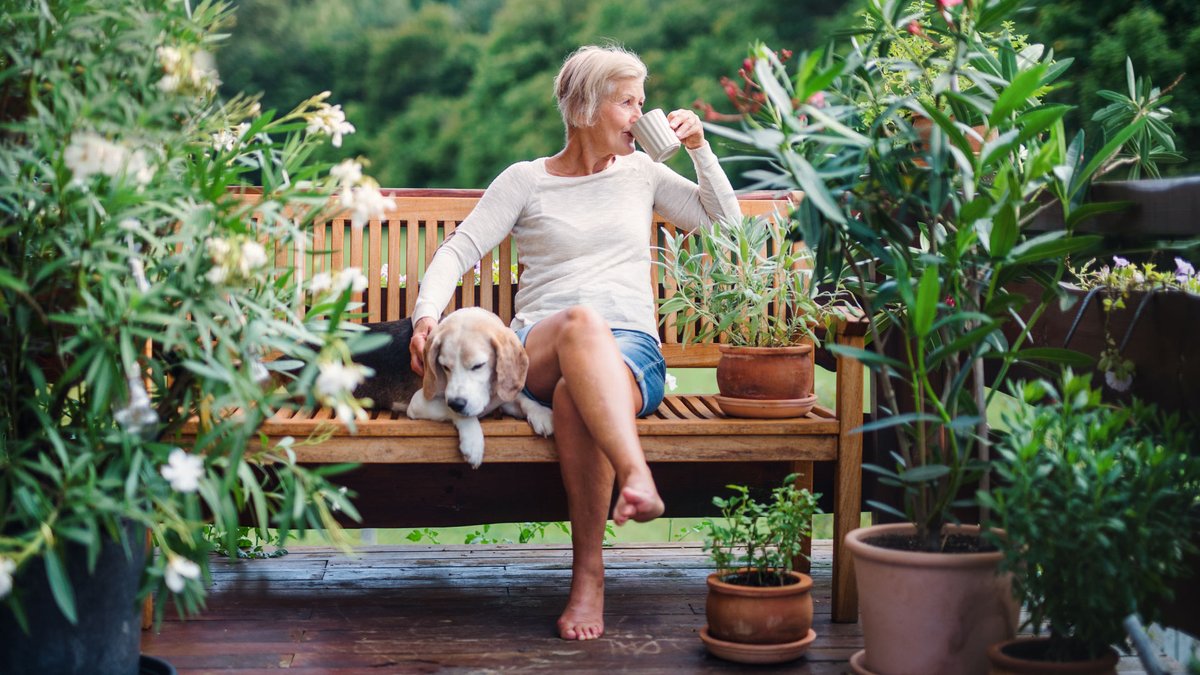 Holidaying with an older dog presents its own rewards – and challenges. For the top 10 considerations on ensuring a happy, healthy, stress-free break for you both, visit dogsmonthly.co.uk/2023/06/29/hol…