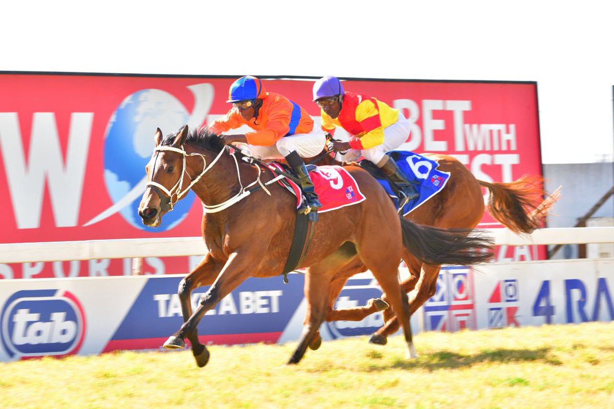 RacingTodayTV's tweet photo. #TURFFONTEINRACECOURSE RACE 1 π
Winner: Neerah (Vercingetorix - Zili)
Owners: World Sports Betting (Nom: Mr W Tannous)
Breeder: Winterbach Stud
Trainer: Ashley Fortune
Jockey: Siyabonga B Mthembu
#TAB4racing #Horseracing #TAB #4racing #Betting #TakeABet #WinBig https://t.co/p3pEFuKcdB