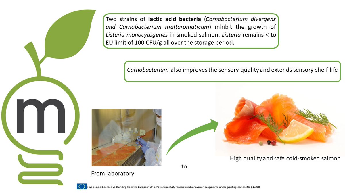 The aquaculture sector is growing at a faster rate than any other major food production sector. At the same time, concerns about sustainability, ecology, and food safety have become clearer. At @MASTER_IA_H2020 we are seeking solutions to these challenges!