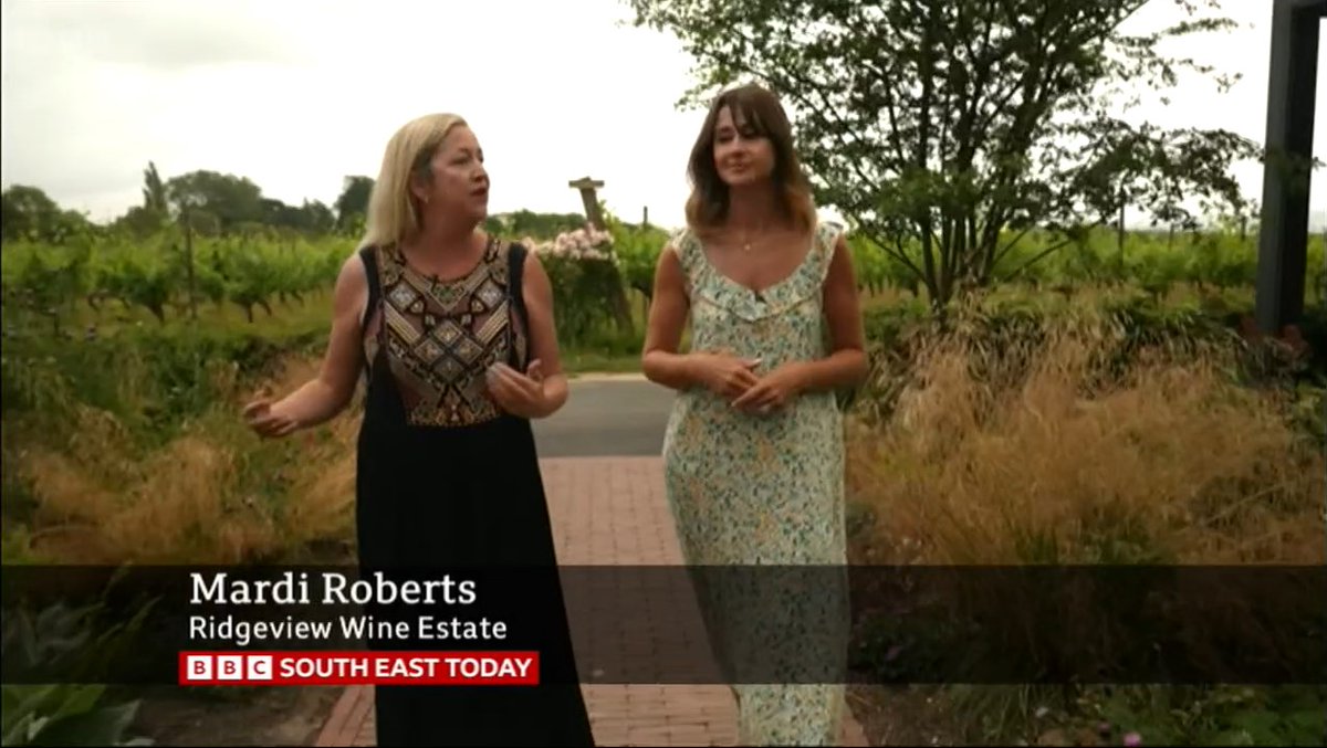 Did you see <a href="/bbcsoutheast/">BBC South East</a> live from <a href="/RidgeviewWineUK/">Ridgeview Wine</a> yesterday, to talk about wine tourism in Sussex? See the full report here (scroll to 13.54) 

bbc.co.uk/iplayer/episod…

<a href="/PlumptonCollege/">Plumpton College</a>
@SussexVEI
<a href="/VisitBritainBiz/">VisitBritain Biz</a>
<a href="/Wine_GB/">Wines of Great Britain</a>

#sussexmodern #svei