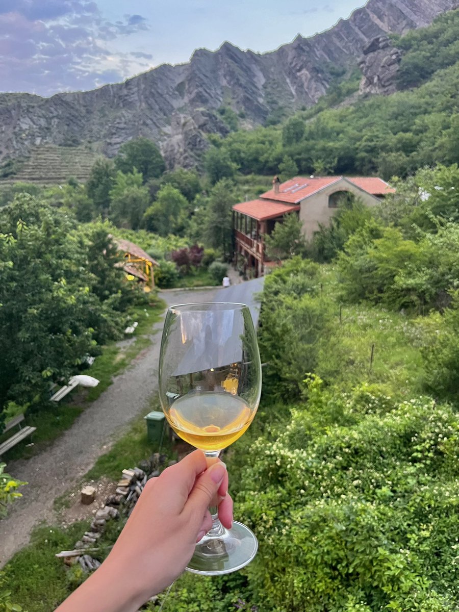 Georgian wine / Georgian way 🍷

Wine Atenuri from #NikaVacheishvili wine cellar. The view from their guesthouse rooftop terrace 🫶🏻