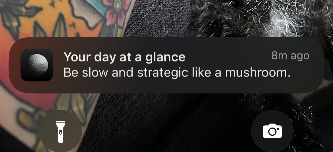 I don’t know who writes these but it’s the only reason I still have the Co-Star app 😂🍄