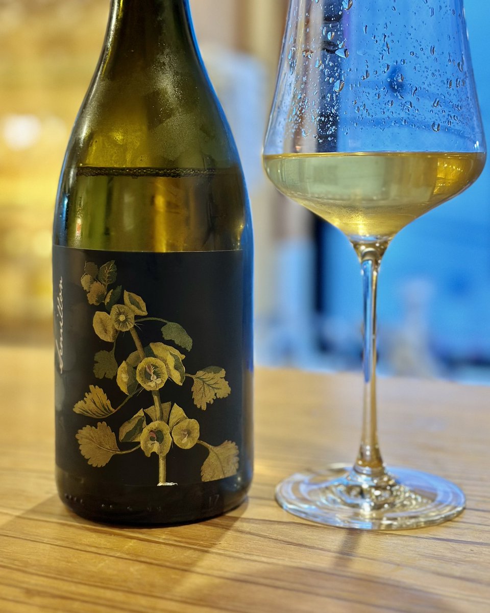 Ai22wine's tweet photo. 昨日は休肝日だったので、今日は仕事終わりにワイステさんへ✨
飲むぞー

1日暑かったので、泡と白ワインが美味しい！
赤は何を飲もうかな🥰 https://t.co/g42lqnDP69