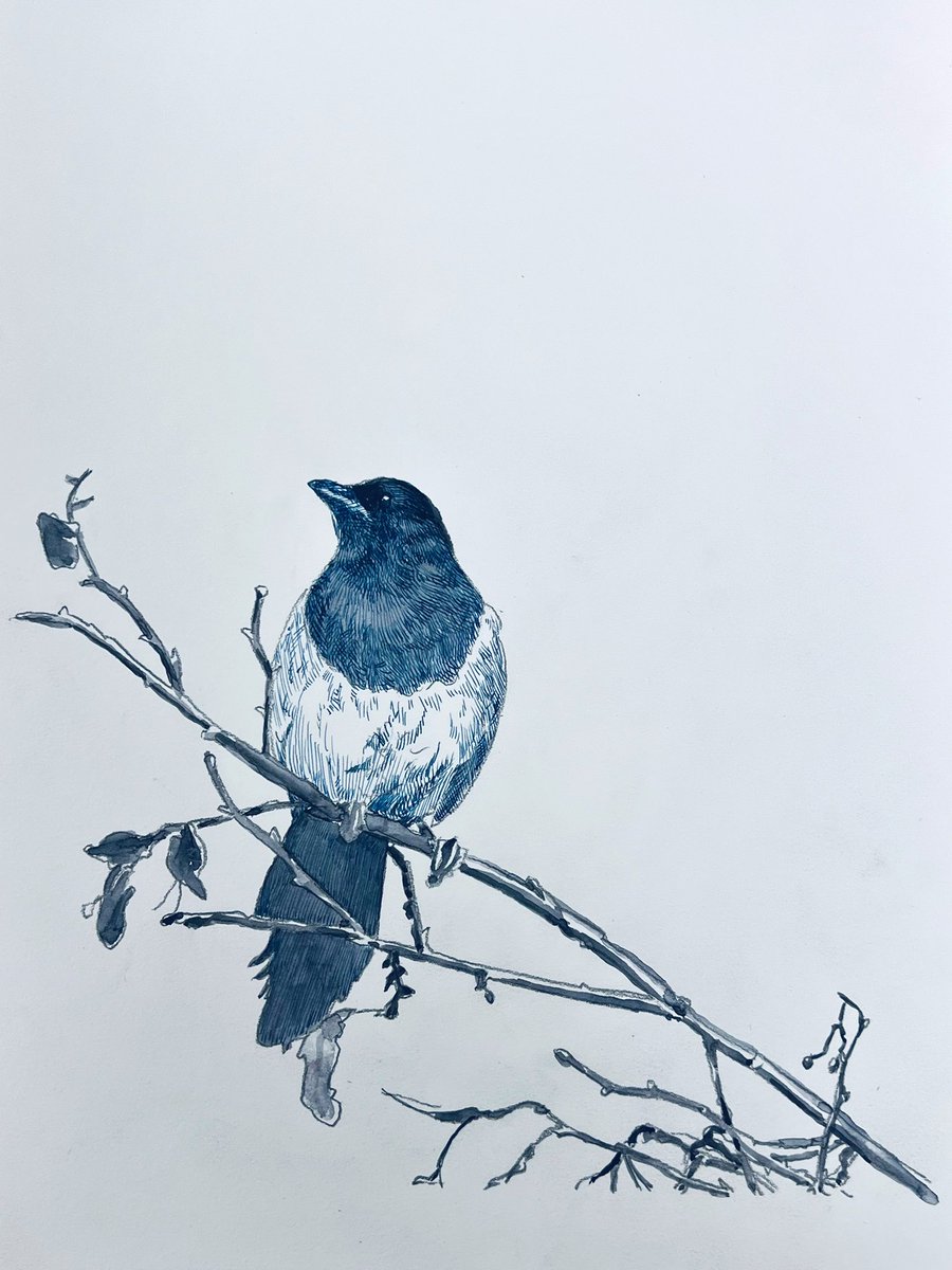 Bas Geeraets 🦉 tweet media