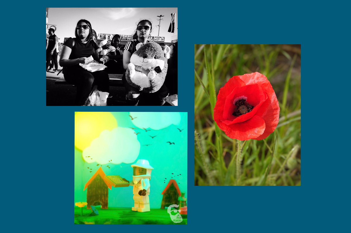 BreakGlassMag's tweet photo. Summertime gallery live now! Full set of full size images on the website now, come take a look...
https://t.co/GxqTDRlIGt

📸 @snapperchap @NigelKingPhotos @Popartchris @mullinsphotos @KeatsianOrphan @JollyBeardedMan @16beasleyst &amp; more 
#Photography #Summertime https://t.co/5IDSL0cBJ0