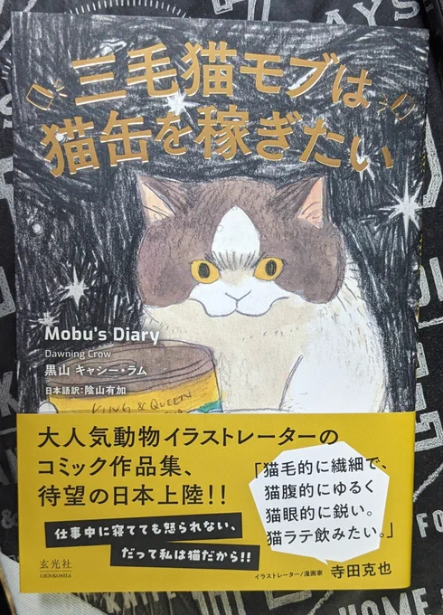 「三毛猫モブは猫缶を稼ぎたい Mobu's Diary」(黑山 キャシー・ラム 著/陰山有加 訳) 届いたヤッター!モブさんのこの面構えほんとたまらん…