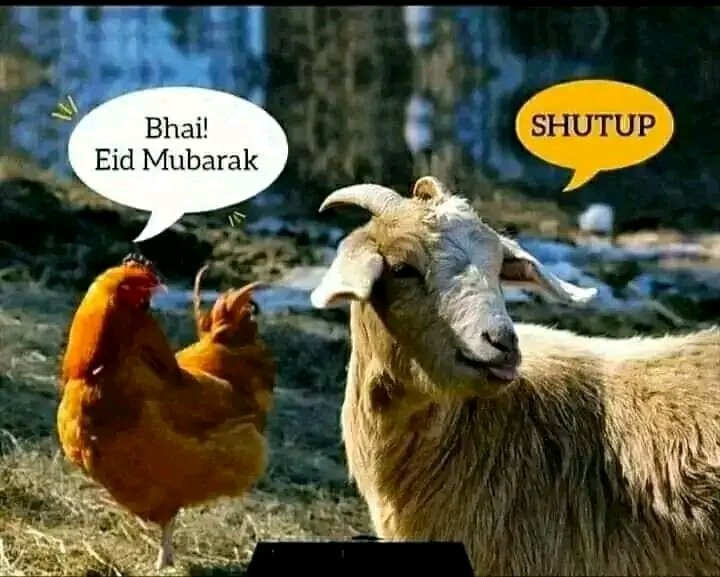 Eid ul adha mubarak 🌸