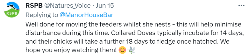 ManorHouseBar's tweet photo. A #NestUpdate for you...
The egg in Chesters Garden has now hatched and we have a little baby bird! π RSPB England saw our tweet and let us know that it is a Collared Dove and that the baby bird should be with us for 18 days and then it will fledge the nest π₯π₯ https://t.co/XstkXY0t6Z