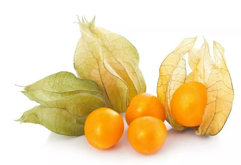 Andy Reed tweet media