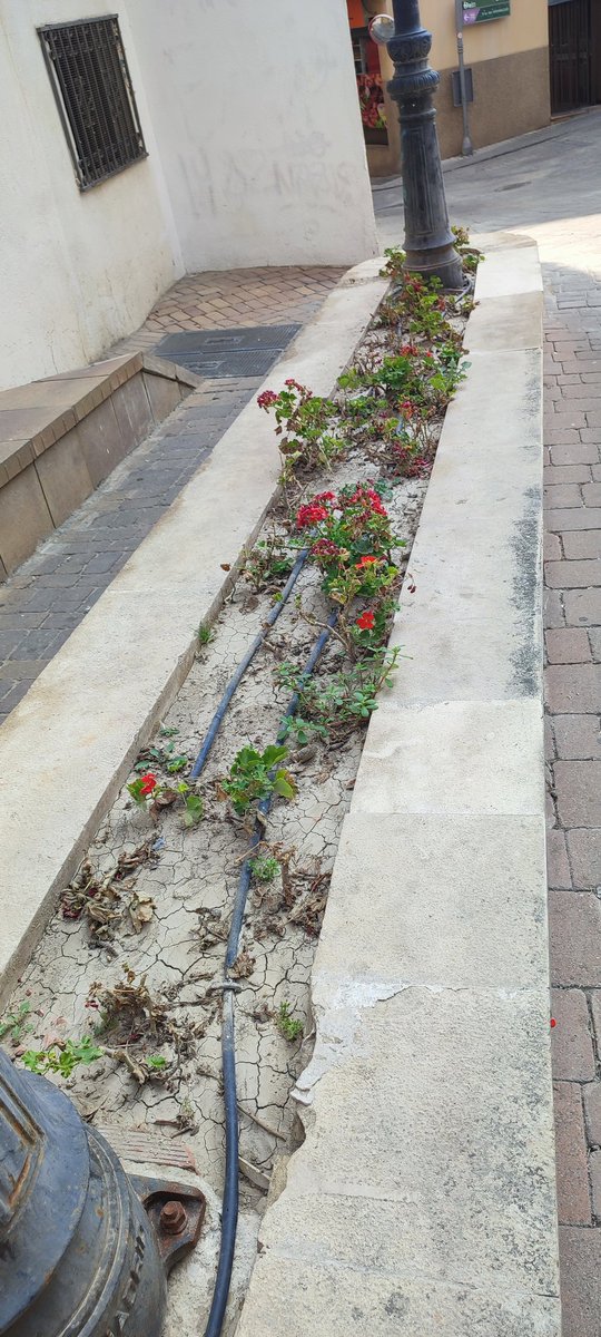 En la plaza Doctor Blanco Nájera, lleva este agujero , desde el domingo antes de las elecciones municipales, lo abrieron y así lo han dejado. En frente, cambiaron los arbustos por flores, y así están en este momento, si no se la llevan, la arrancan o se secan. <a href="/AytoJaen/">Ayuntamiento de Jaén</a>