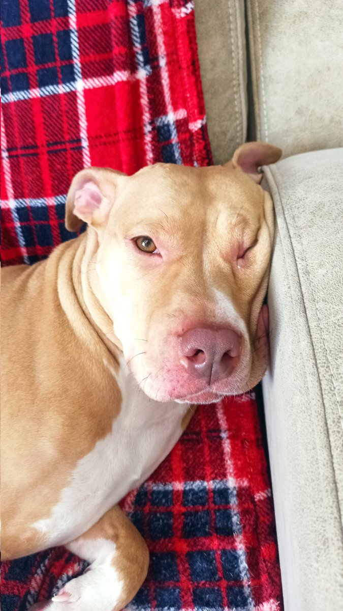 Kafurmalarınısı yedinis mii