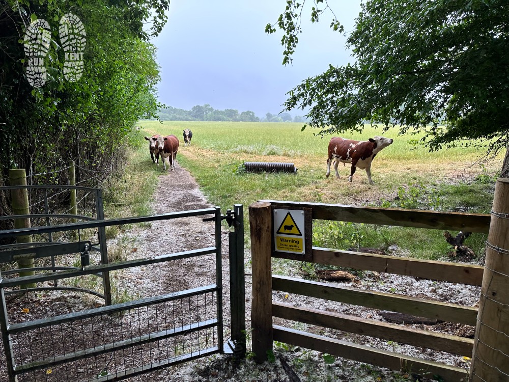 RunKentUK's tweet photo. A little bit of light rain didn't put us off our 9km #trailrun from #Hadlow #Kent this morning. Checkout the route at https://t.co/aYOAE49ciJ. We love a bit of #riverrunning.
#ukrunchat #run #trailrunning #visitkent #explorekent https://t.co/BZgdWhgh3h