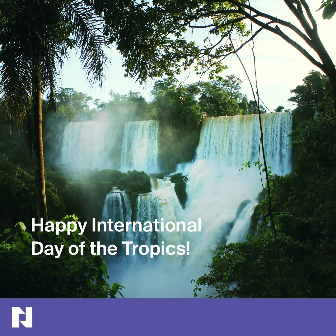 🌴 Happy International Day of the Tropics 2023!

These extraordinary regions support unique ecosystems and vibrant communities, from lush rainforests to stunning reefs.

Let's raise awareness about their importance by encouraging the protection of their natural wonders!

#nature