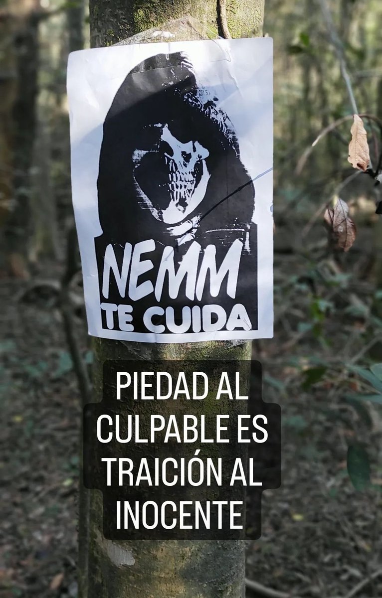 nemmsupertuber's tweet photo. Lo peor que hacen los malos es obligarnos a dudar de los buenos.
#NeMM #superhero #viral @nemmeljusticiero https://t.co/UWe4TXW0X7