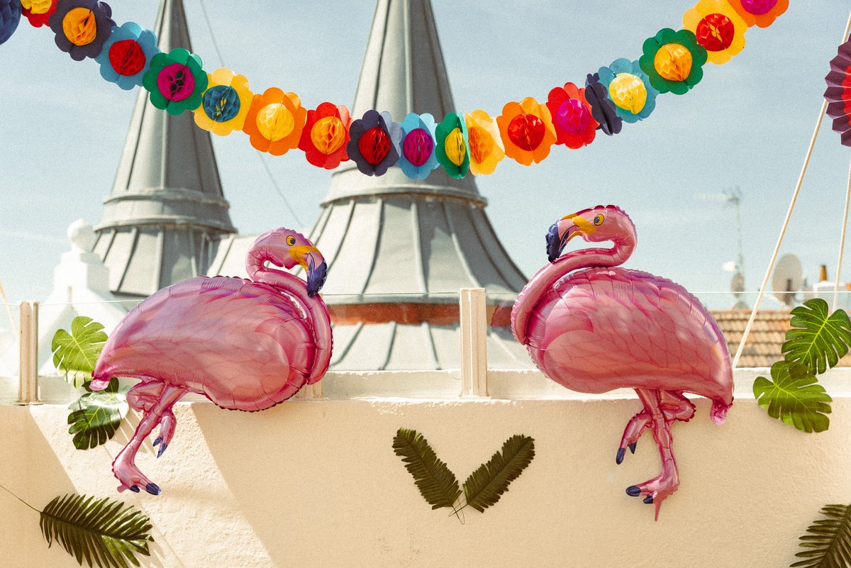 On June 16th, the 2023 Modulor Ventures Summit took place. 
The Summit is like a big family gathering , a event where we aim to bring together everyone who is part of our amazing Modulor family, which includes <a href="/mendesaltaren/">mendesaltaren</a> , @MinimumRun, <a href="/nocodehackers/">NocodeHackers</a>  and <a href="/ActionableCamp/">Actionable Camp</a>