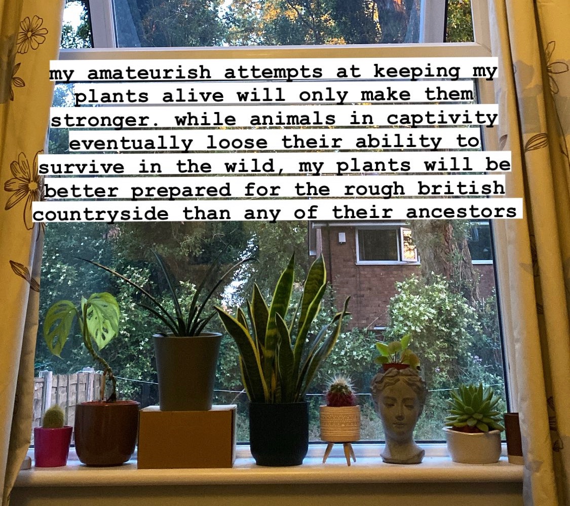 beeboi23 tweet media