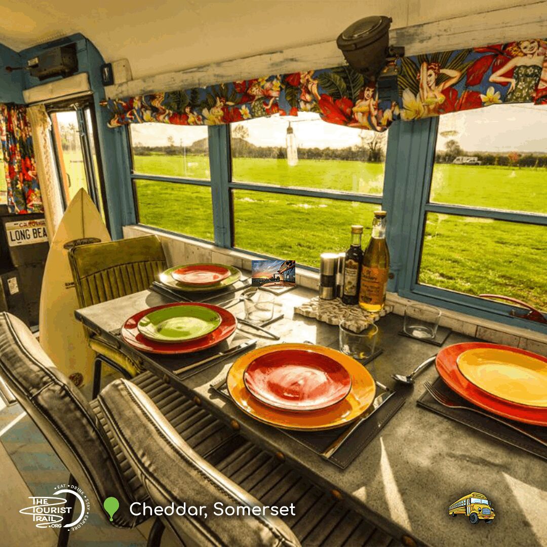TheTouristTrail's tweet image. Enjoy a wonderful glamping holiday in a genuine 𝗔𝗺𝗲𝗿𝗶𝗰𝗮𝗻 𝗦𝗰𝗵𝗼𝗼𝗹 𝗕𝘂𝘀 in Somerset with the perfect mix of comfort and iconic style.

𝗠𝗼𝗿𝗲 𝗗𝗲𝘁𝗮𝗶𝗹𝘀
thetouristtrail.org/business/somer… 

#glamping #convertedschoolbus #holiday #Somerset @schoolbusstays