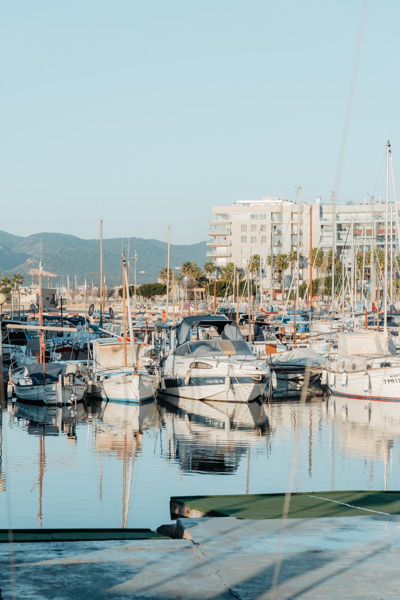 Palmer Alma Mediterránea tweet media