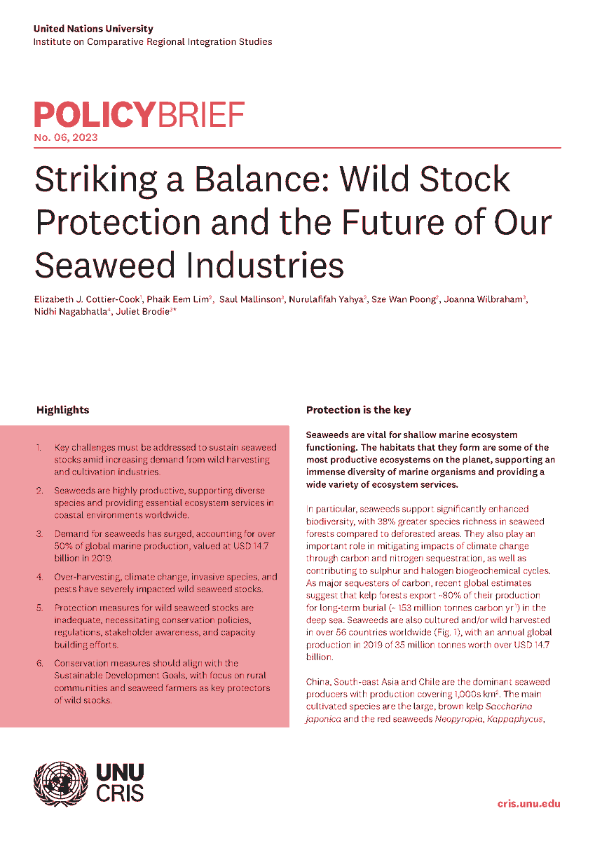 The latest UNU-CRIS Policy Paper 'Striking a Balance: Wild Stock Protection and the Future of Our Seaweed Industries' 
Full text buff.ly/3PEQnaF
#Seaweed #MarineEcosystems #Biodiversity #Mitigation #Conservation #Protection  #algae #alga #phycology #macroalage #microalgae