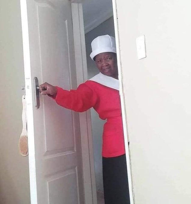 S_NHODO's tweet image. Mahure machinzwa here ichi.