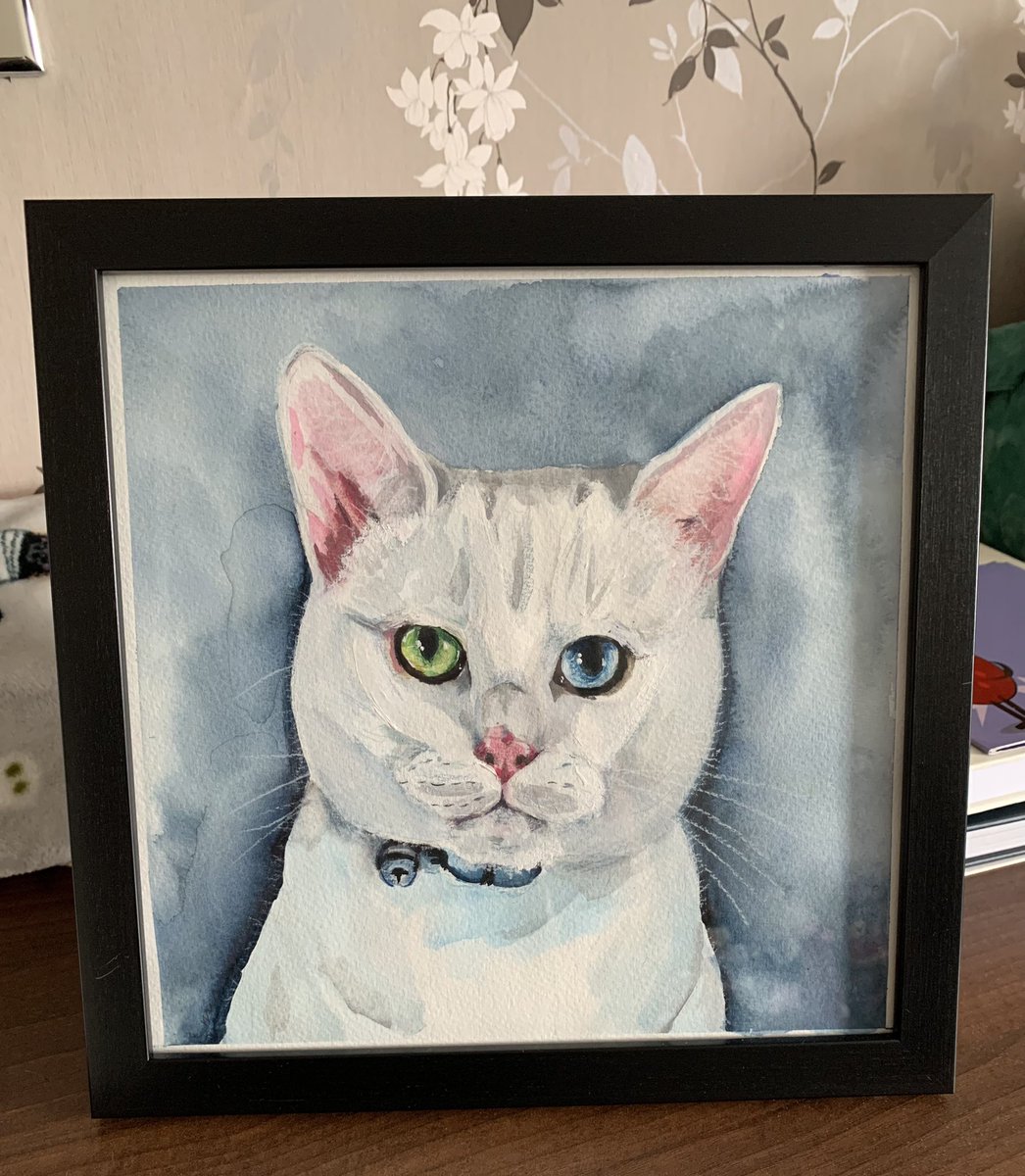 The amazing drawing of me from @projectlumino arrived last week and mummy has popped it in a frame - it looks just wonderpurr and are very grateful 🤍🤍