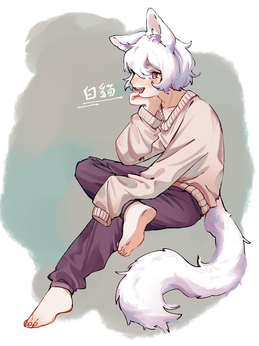 animal ears barefoot tail white hair wolf tail sweater 1boy  illustration images