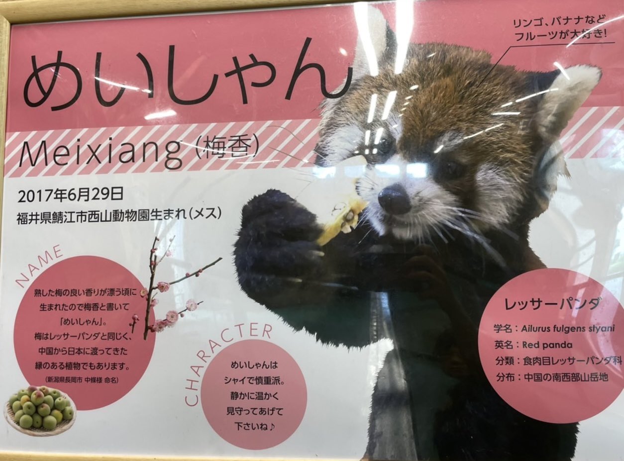 伊豆シャボテン動物公園公式ツイッター on X: 