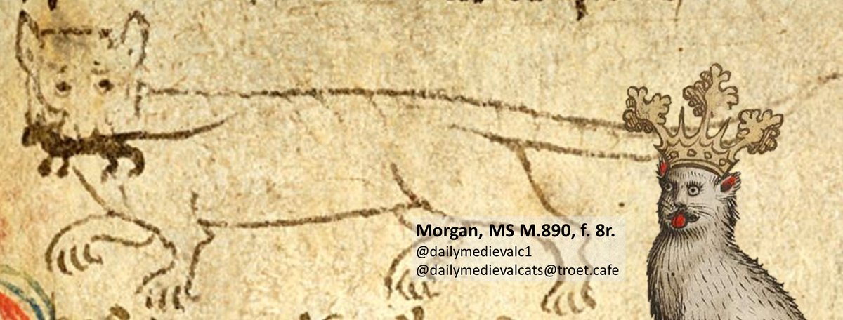 Caught one!

Ms: Morgan, MS M.890, f. 8r. #medievalcat #medievaltwitter
