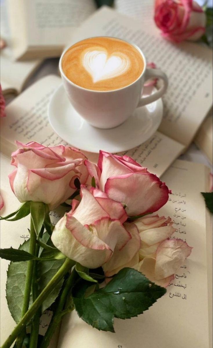 ✈️MAGIE✈️ (@magie_e2) on Twitter photo ┳┓┏┓┳╱┳╱┏┓┳╱┳
┣╱┗┛┗┛┗┛┗┛┗┻┛
┻ #VIP_FRIENDS⭐
:・゚:・゚゚・:*✿゚・:*✿゚
┊┊┊
.<a href="/MarthaCandia21/">🌼MARTHA CAN🌼</a>
┊┊<a href="/TOP_ANAHI/">🚤 🅰️NAHI 🚤</a>
┊┊ <a href="/ALESXIA_1/">˙●♥ A҉ L҉ E҉ S҉ X҉ I҉ A҉ _҉ 1҉●♥ -</a>
<a href="/MARTHA_CAN2/">MARTHA 👑</a>
<a href="/JIMENAC__/">🌸JimenaC__🌸</a>
<a href="/1firj/">Halit Mahmut❣️B1</a>
@Fiel_Seguidor
<a href="/Aldhakia_/">𝙰𝚕𝚍𝚑𝚊𝚔𝚒𝚊 ☘💞</a>
<a href="/caitorosales/">ricardo rosales</a>
<a href="/MSTQ86/">007🏃💎</a>
<a href="/nuvisionquestt2/">🦅Nu_Vision_Quest_Type2🏹</a>
<a href="/Jamesspencer211/">James Spencer #GAINWITHPETAL #TMPETAL #Teamspirit</a> ┳┓┏┓┳╱┳╱┏┓┳╱┳
┣╱┗┛┗┛┗┛┗┛┗┻┛
┻ #VIP_FRIENDS⭐
:・゚:・゚゚・:*✿゚・:*✿゚
┊┊┊
.<a href="/MarthaCandia21/">🌼MARTHA CAN🌼</a>
┊┊<a href="/TOP_ANAHI/">🚤 🅰️NAHI 🚤</a>
┊┊ <a href="/ALESXIA_1/">˙●♥ A҉ L҉ E҉ S҉ X҉ I҉ A҉ _҉ 1҉●♥ -</a>
<a href="/MARTHA_CAN2/">MARTHA 👑</a>
<a href="/JIMENAC__/">🌸JimenaC__🌸</a>
<a href="/1firj/">Halit Mahmut❣️B1</a>
@Fiel_Seguidor
<a href="/Aldhakia_/">𝙰𝚕𝚍𝚑𝚊𝚔𝚒𝚊 ☘💞</a>
<a href="/caitorosales/">ricardo rosales</a>
<a href="/MSTQ86/">007🏃💎</a>
<a href="/nuvisionquestt2/">🦅Nu_Vision_Quest_Type2🏹</a>
<a href="/Jamesspencer211/">James Spencer #GAINWITHPETAL #TMPETAL #Teamspirit</a>