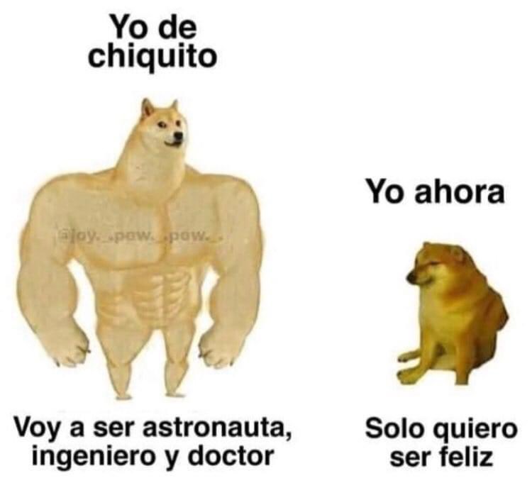 🌸 Flor🛞 tweet media