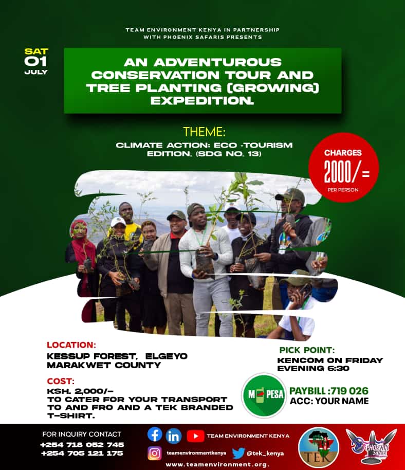tek_kenya's tweet photo. We Invite you join us for an Adventurous Conservation Mission and Tree Planting (Growing) Expedition at Kesuup Forest; Elgeyo Marakwet County. "Climate Action; Eco-Tourism Edition."

#TwendeEMC
#ClimateAction
#KeepBreathing https://t.co/pIGuHKgYb6
