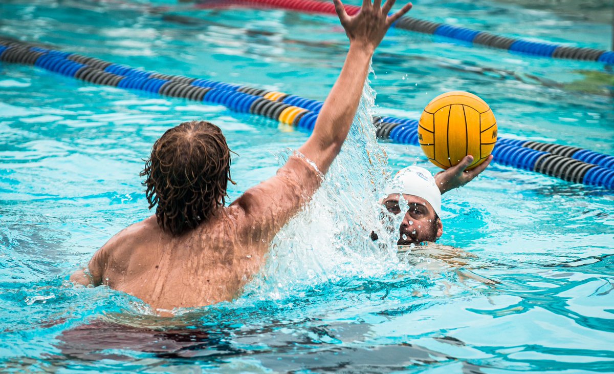 MidTownWP's tweet photo. Get up!!! It’s MATCHDAY!!!!
7:05 tip-off est for our friends around the globe! 
#solopalante 🌎🤽‍♀️☄️ https://t.co/OF8HUi0FvA