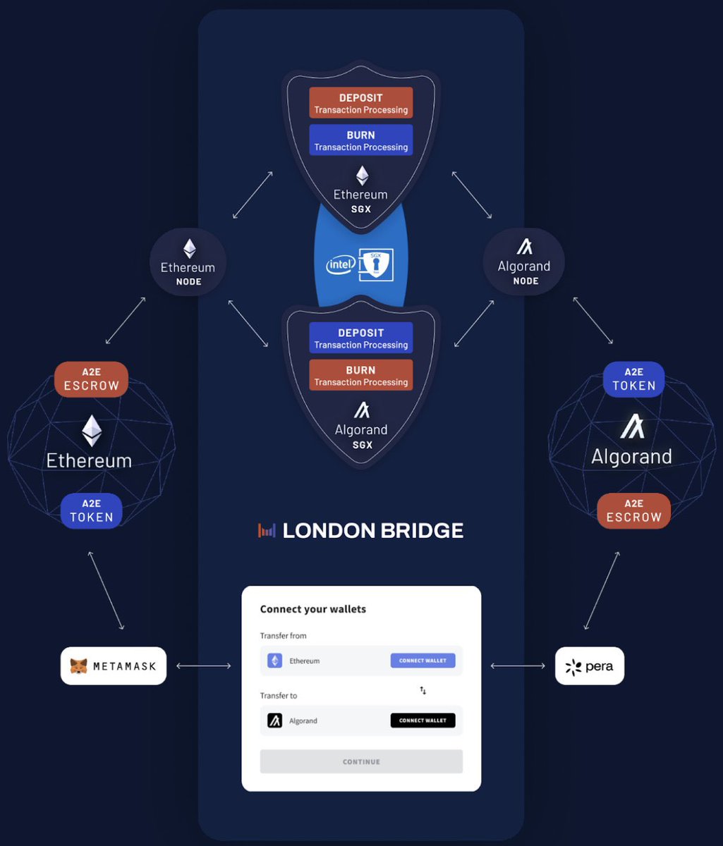 MJ.algo 🇺🇸 tweet media