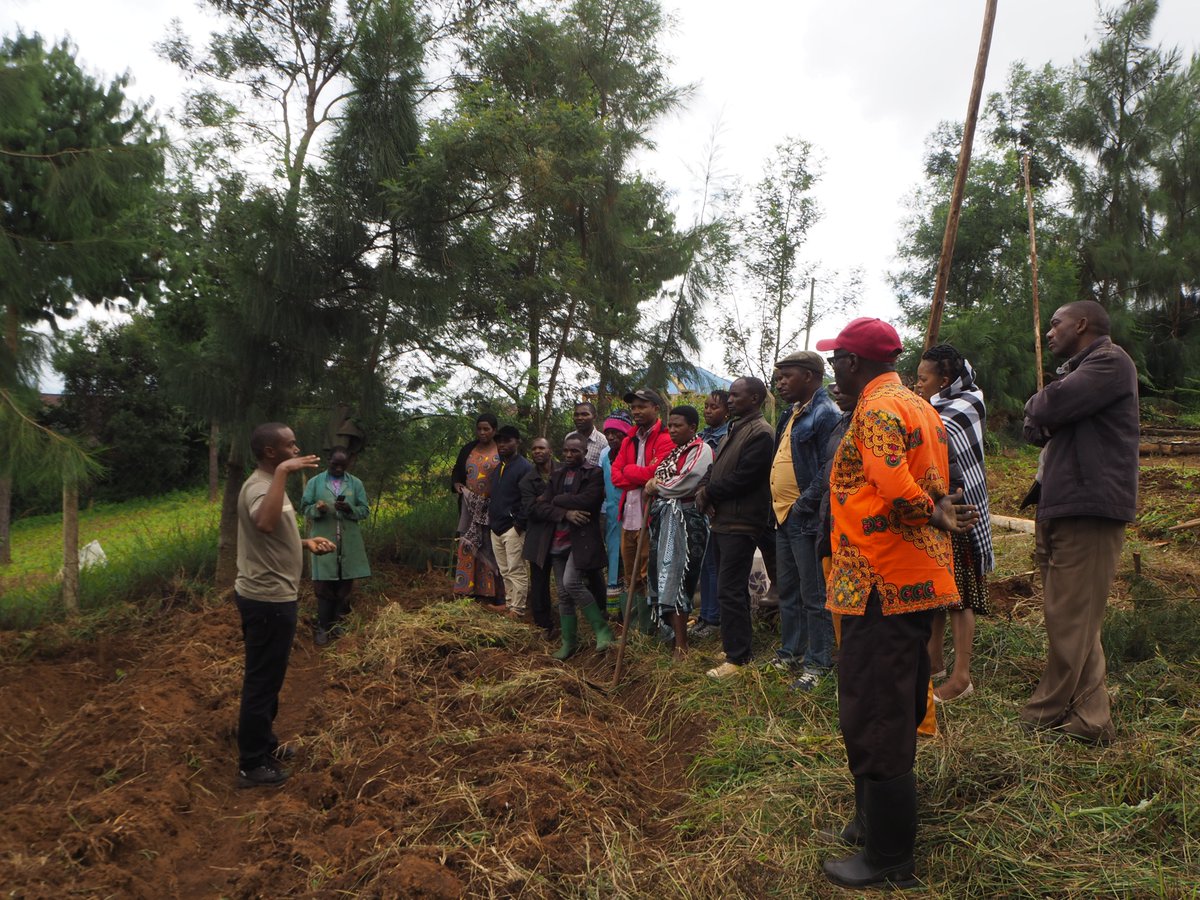 njombeclimate's tweet photo. #RegenerativeAgriculture is the answer!
Under the guidance of @thiongo_gachie we are establishing a 20*30m #regenerative plot. Some #neighbours are taking care of developing it with the goal of expanding this practice to other areas in the district #Regeneration there we go! ⭕️🌱 https://t.co/sToCSPKFnw