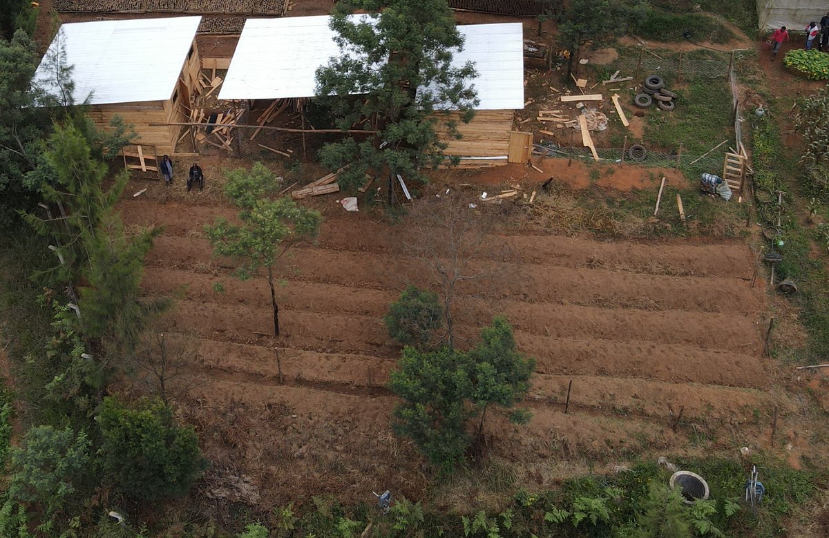 njombeclimate's tweet photo. #RegenerativeAgriculture is the answer!
Under the guidance of @thiongo_gachie we are establishing a 20*30m #regenerative plot. Some #neighbours are taking care of developing it with the goal of expanding this practice to other areas in the district #Regeneration there we go! ⭕️🌱 https://t.co/sToCSPKFnw