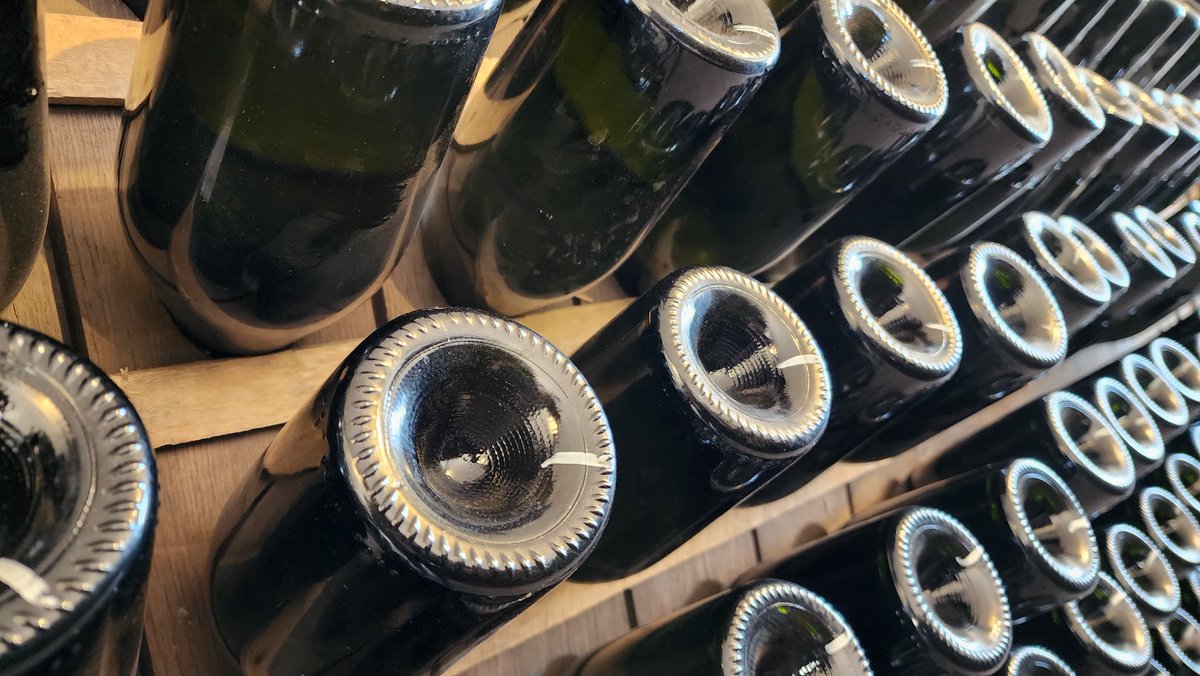 nicolasorsini's tweet photo. [Nuevo] 8 vinos para romper el aguinaldo https://t.co/EeCLCpcNTl https://t.co/pGXFJVVyDn