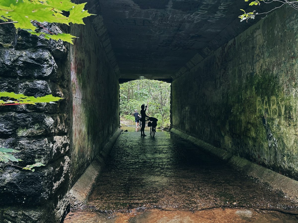 🟠 Orange air quality alert, combating climate change, and chili bowls - mailchi.mp/gmrva/good-mor…