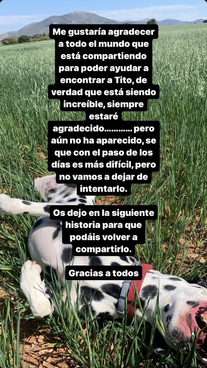 Paco_Lopz's tweet photo. Seguimos buscando a Tito, agradecería que se pueda compartir lo máximo posible. Gracias! https://t.co/yAjCesgflv