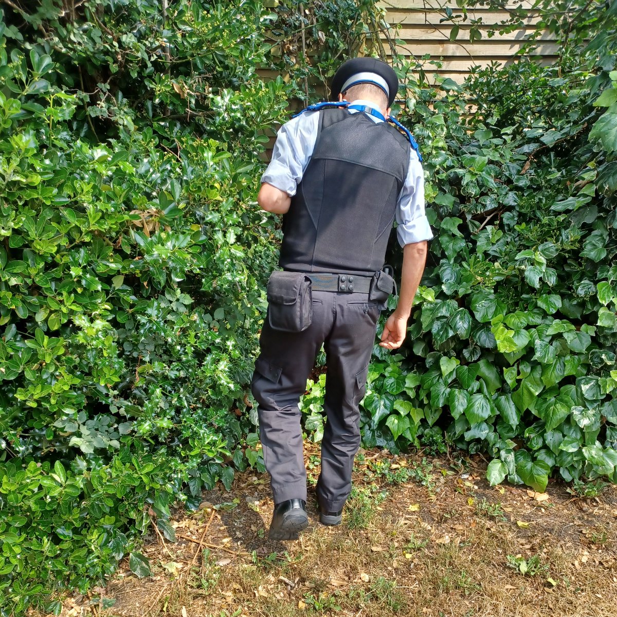 MPSHarefield's tweet photo. #HarefieldSNT officers conducting a #WeaponSweep on Dovedale Close, Harefield earlier today. https://t.co/aDCE2A1meA