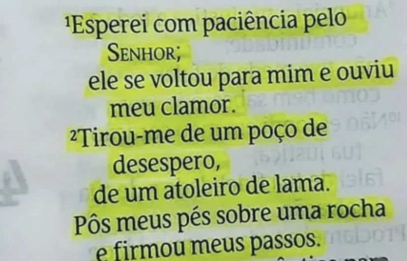 cristo_renovo's tweet photo. Bom dia povo de Deus 🙏🏻
Obrigada, SENHOR https://t.co/HJ6cG2rEGb