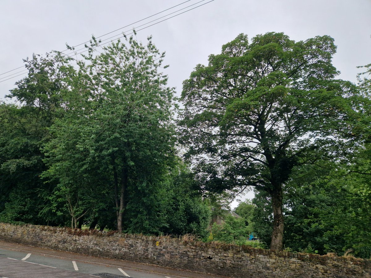 Mr Quigg tweet media