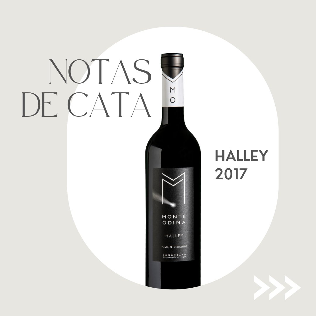 MonteOdina's tweet photo. Prueba nuestro vino Halley🍷, un vino de autor y edición limitada. 
Un vino con aromas limpios e intensos perfecto para maridar con un carpaccio de ternera y queso parmesano. ¡Riquísimo!

#MonteOdina #vino #Halley #bodega #ElTesoroDelSomontano https://t.co/mdKdXHjAWu