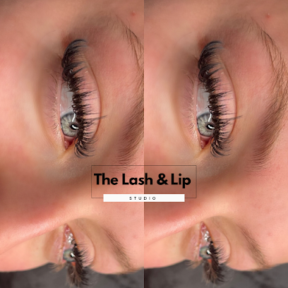 Get the best #BrowLamination in #Rochester at The Lash And Lip Studio. Visit- goo.gl/maps/9i79rETY9…