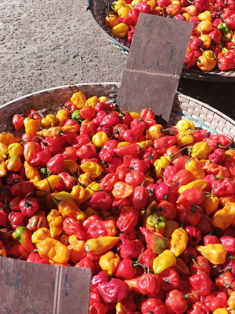 egsabores_'s tweet photo. Que comida prepararias con picante y cual con mucho picante? 

Te leemos. 

#AlimentacionEG #GastronomiaEG  #GuineaEcuatorial #Picante https://t.co/zjvQI62SDT