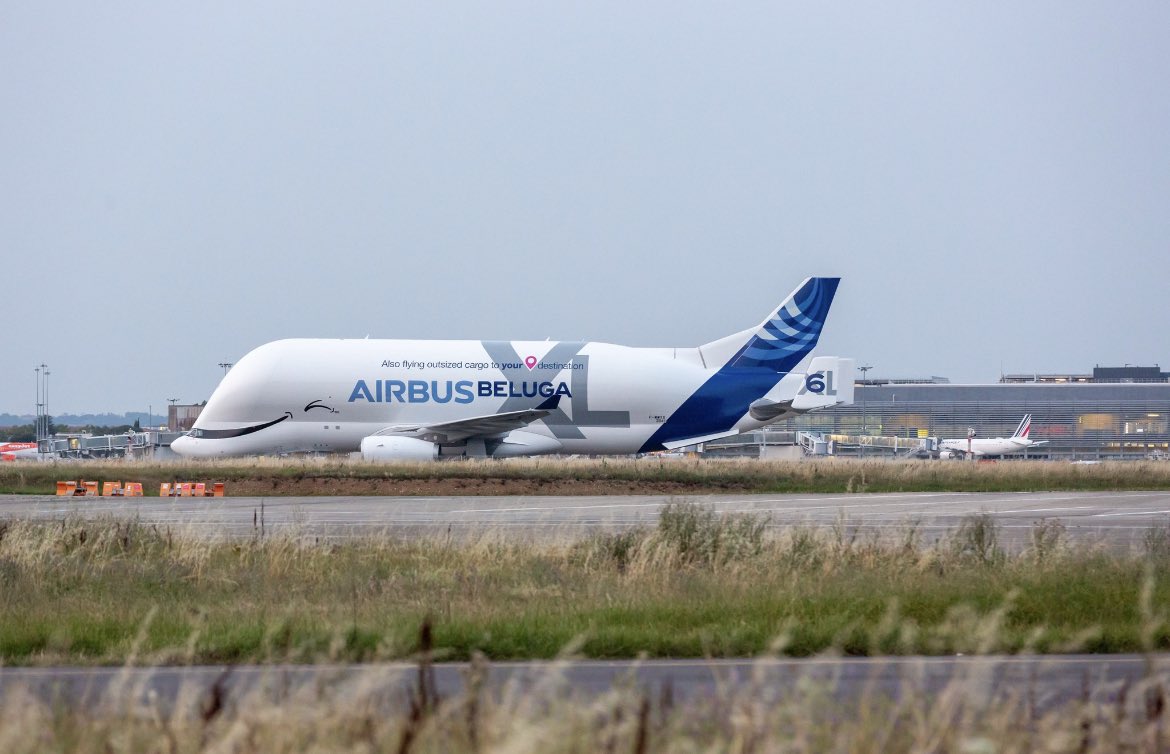 Le dernier Béluga XL est de sortie et vous offre son plus beau sourire ! #Airbus  #BelugaXL