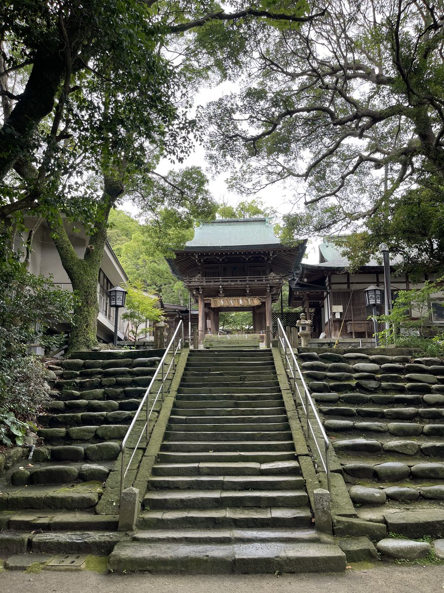 旅豚　福岡県編、最高に楽しかった。たくさんのリア凸もありがとう。まだまだ全国行き足りないわ。
充実した時間を過ごせたよ。
ありがとう。

#金印ドック 
#中西食堂
#ママドック 
#志賀海神社 
#志賀島 
#福岡県