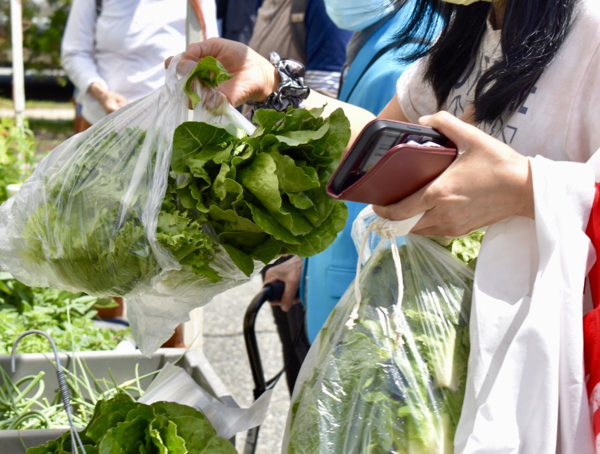Belmont Farmers Mkt tweet media