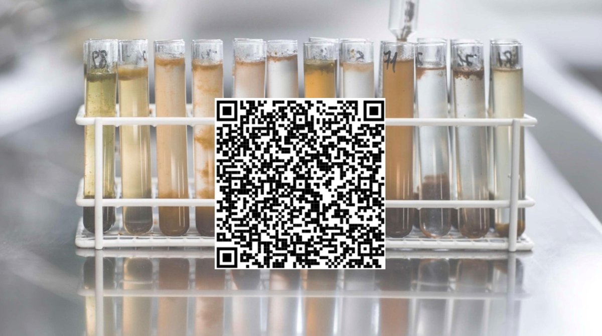 We're searching for a lab technician!

Institute of Parasitology, Vetsuisse Faculty, Univeristy of Zurich.

Please consult job description with the QR Code. ☺️

#uzh #parasitology #diagnostics #jobs #parasitologie #vetsuisse #zurich #switzerland #lab #labtechnician