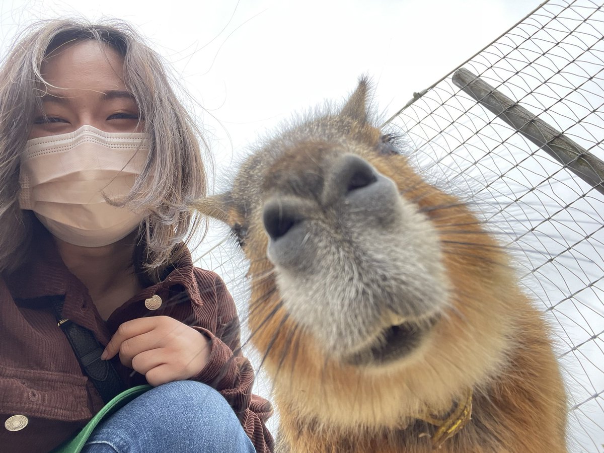 aobb_89's tweet photo. 先日誕生日を迎え、24歳になりました！

新卒2ヶ月で仕事を辞めることを選び、色んな方に会う機会ができたり、忙しい中私に時間を作ってくれて幸せな日々を送っています！

応援してくれている方に応えられるように、自分の可能性を信じて頑張ります‼️

私らしく生きる！ https://t.co/ez9jlctNKB